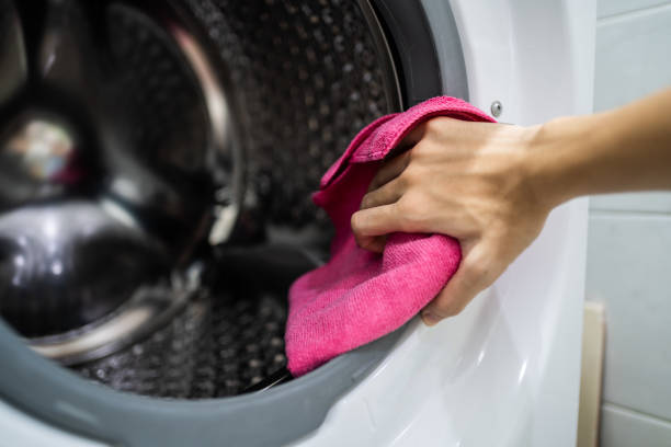 Reliable Wilson, WY Mold Removal Solutions